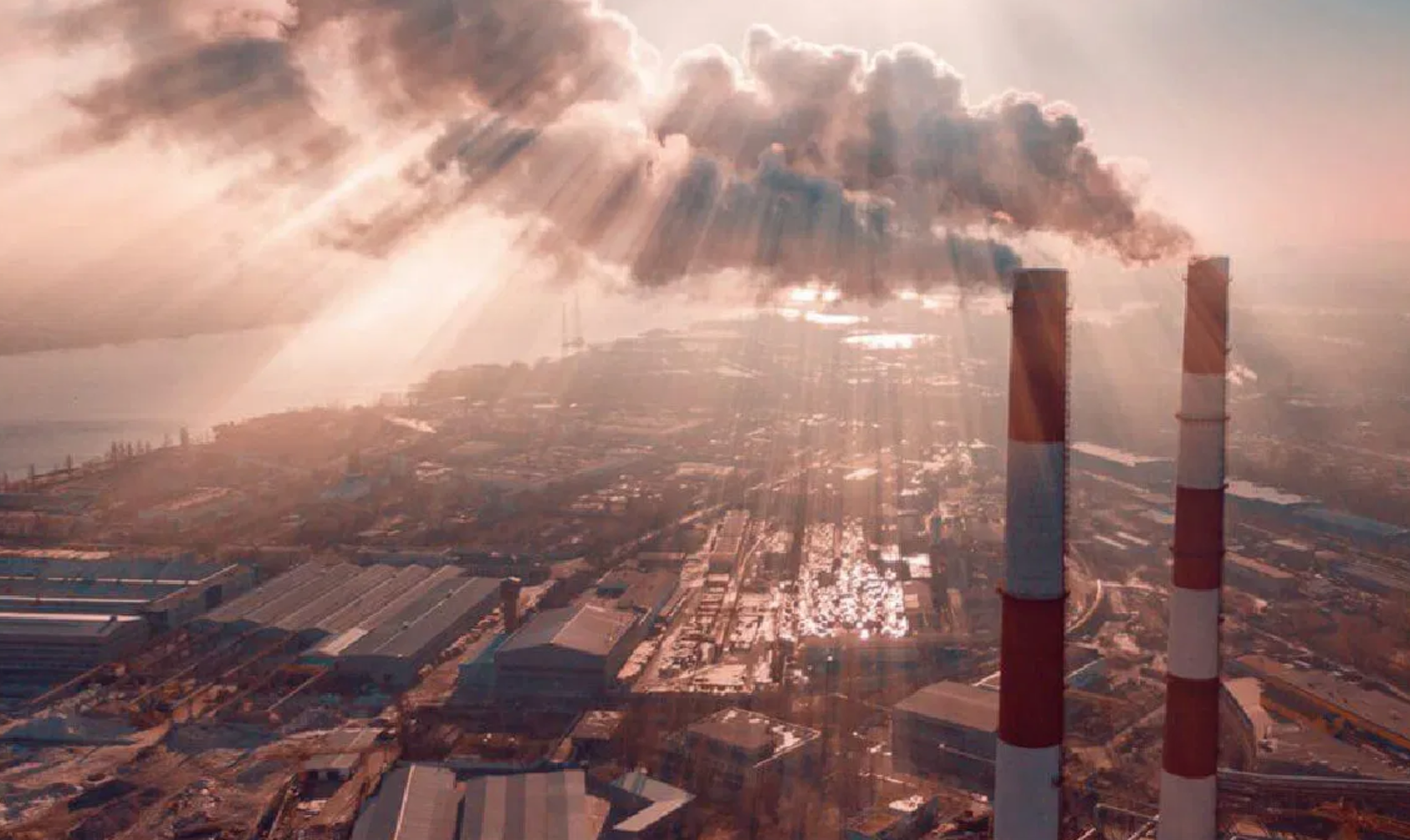 Hair Loss Caused by Air Pollution : How to take care of your scalp?